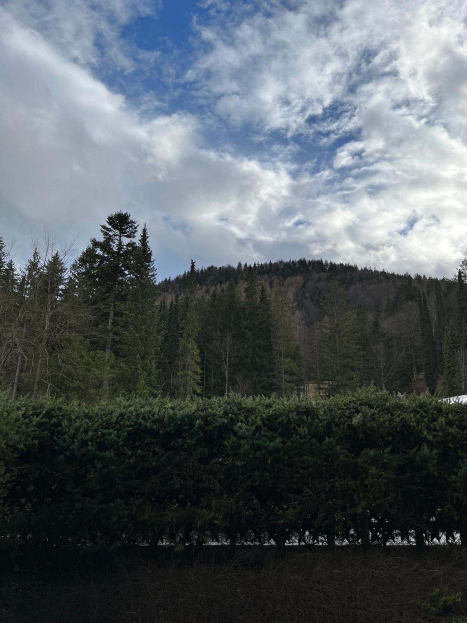 Fewo Lautersee Mittenwald Dış mekan fotoğraf